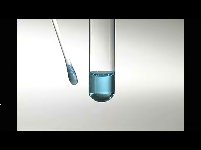 видео компании около Comparison of nylon flocked swabs and traditional fiber swabs